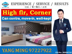 Blk 422 Choa Chu Kang Avenue 4 (Choa Chu Kang), HDB 4 Rooms #106976552